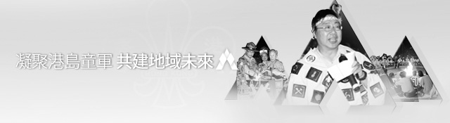 section banner