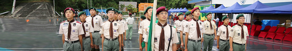 section banner