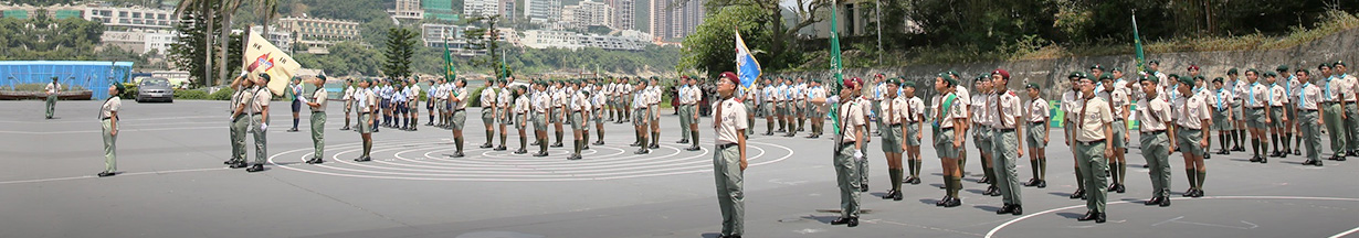 section banner